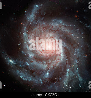 La Girandola Galaxy, noto anche come Messier 101, M101 o NGC 5457, è una faccia sulla galassia a spirale nella costellazione dell'Orsa Maggiore. Ri Foto Stock