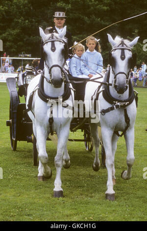 La principessa ereditaria Victoria e la principessa Madeleine Foto Stock