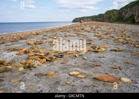 Blast Beach - un ex discarica per i rifiuti provenienti dalle miniere di carbone, il naso del punto, Dawdon, Seaham, County Durham, Regno Unito Foto Stock