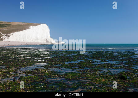 Le bianche scogliere del Sette sorelle in East Sussex sono spesso scambiate per le bianche scogliere di Dover Foto Stock