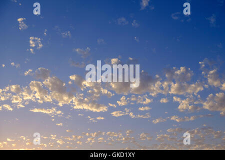 Altocumulus nubi del stratocumiliform classificazione. Luglio. Oklahoma, Stati Uniti d'America. Foto Stock