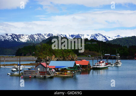 Halibut Cove, Kachemak Bay, Alaska Foto Stock