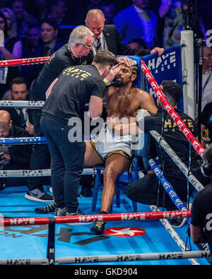 David Haye e Arnold Gjerjaj Heavyweight Boxing bout in London Arena O2. Dotato di: David Haye dove: Londra, Regno Unito quando: 21 Maggio 2016 Foto Stock