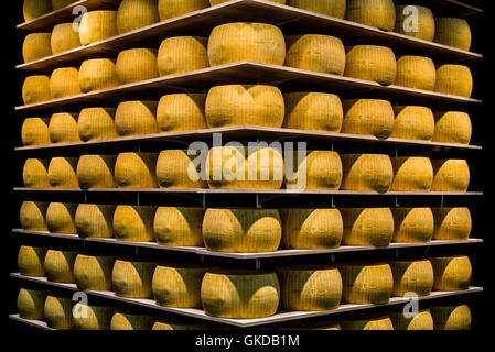 Ruote del Parmigiano Reggiano o parmigiano sugli scaffali di un magazzino di stagionatura a Parma. Foto Stock