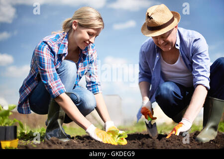 Donna Uomo gli esseri umani Foto Stock