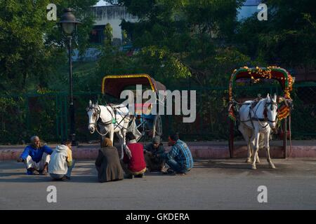 I conducenti di carrozze trainate da cavalli, Agra, Uttar Pradesh, India, Asia Foto Stock