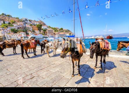 Ride Grecia greco Foto Stock