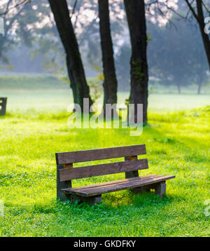 Albero e panchina nel parco verde di mattina presto Foto Stock