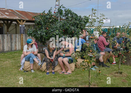 I frequentatori del festival al 2016 Boardmasters Surf e il festival di musica Foto Stock