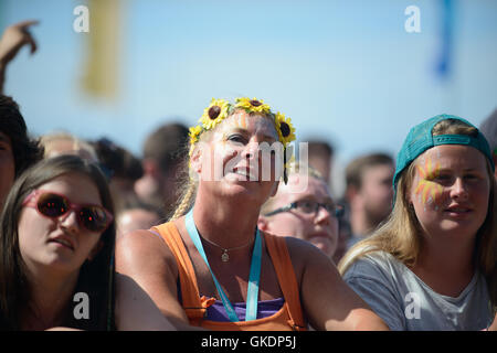 I frequentatori del festival presso il Festival Boardmaster, Cornovaglia 2016 Foto Stock