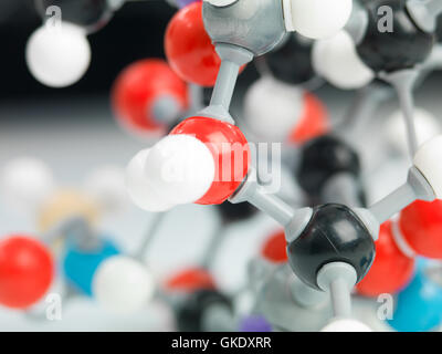 Istruzione medicalmente medical Foto Stock