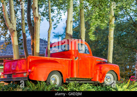 Arte di installazione chiamato Ford Grove, '52 Ford Pick up Truck, invase da aspen alberi. Foto Stock