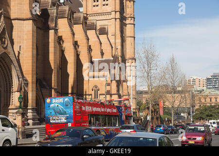 St Marys cattedrale cattolica del college street, centro di Sydney, Australia Foto Stock