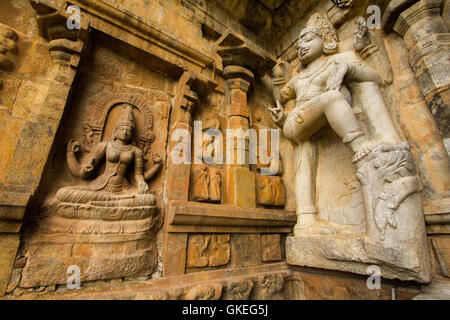 Dettaglio della parete grande architettura presso l antico tempio di Gangaikondacholapuram, Tamil Nadu, India Foto Stock