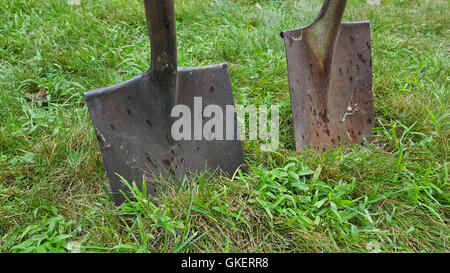 Coppia di rusty pala bloccata in zolla. Foto Stock