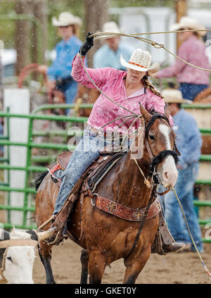 Rodeo cowgirl a cavallo in competizione in vitello, funi o tie-down roping evento, Chaffee County Fair & Rodeo, Salida, Colorado, STATI UNITI D'AMERICA Foto Stock