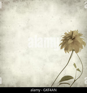 Textured vecchia carta sfondo con Rudbekia laciniata fiori gialli Foto Stock