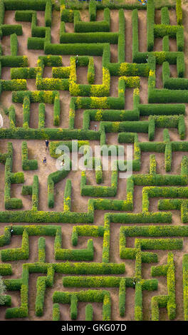 Vista aerea, labirinto di siepi, labirinto, un labirinto Bollewick, Bollewick, Mecklenburg Regione dei Laghi, Mecklenburgian Svizzera, Foto Stock