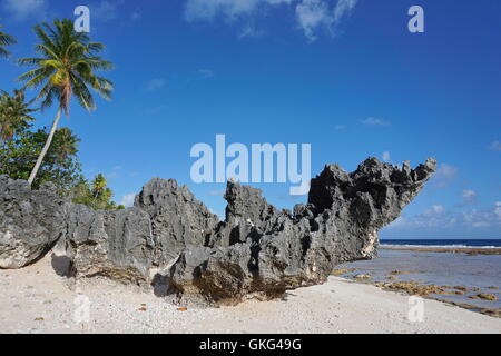 Roccia erosa formazione sulla spiaggia tropicale, atollo di Tikehau, Arcipelago Tuamotu, Polinesia francese, oceano pacifico Foto Stock