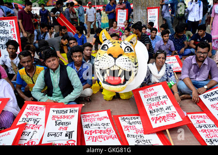 Dacca in Bangladesh. 20 Agosto, 2016. Manifestanti del Bangladesh tenere cartelloni e una tigre effigie durante una manifestazione di protesta chiedendo la demolizione della proposta Rampal impianto di potenza come si riuniscono presso la centrale di Shaheed Minar a Dhaka, nel Bangladesh. Il 20 agosto 2016. Gli ambientalisti stanno protestando contro la pianta di potere che è stato proposto per essere costruito congiuntamente dal Bangladesh e India a causa della sua vicinanza alla regione della Sundarbans che è la casa del mondo solo la popolazione di foresta di mangrovie tigri. Cartelli in Bangla leggere, 'Stop Rampal progetto". Credito: Mamunur Rashid/Alamy Live News Foto Stock