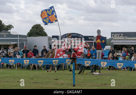 Torneo di giostre con cavalieri di Arkley presso il Palazzo di Blenheim Foto Stock