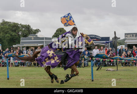 Torneo di giostre con cavalieri di Arkley presso il Palazzo di Blenheim Foto Stock