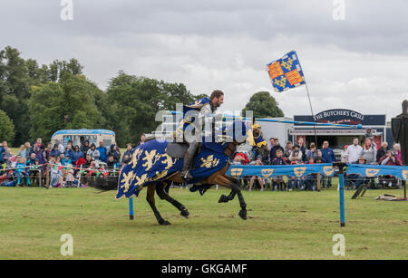 Torneo di giostre con cavalieri di Arkley presso il Palazzo di Blenheim Foto Stock