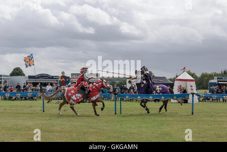 Torneo di giostre con cavalieri di Arkley presso il Palazzo di Blenheim Foto Stock