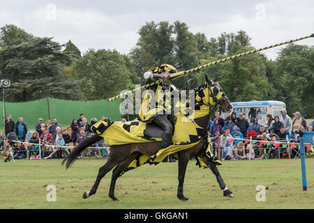 Torneo di giostre con cavalieri di Arkley presso il Palazzo di Blenheim Foto Stock