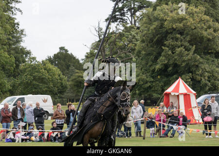 Torneo di giostre con cavalieri di Arkley presso il Palazzo di Blenheim Foto Stock