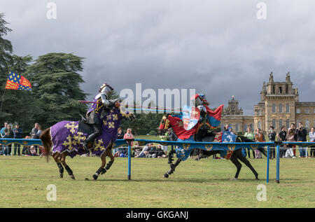 Torneo di giostre con cavalieri di Arkley presso il Palazzo di Blenheim Foto Stock