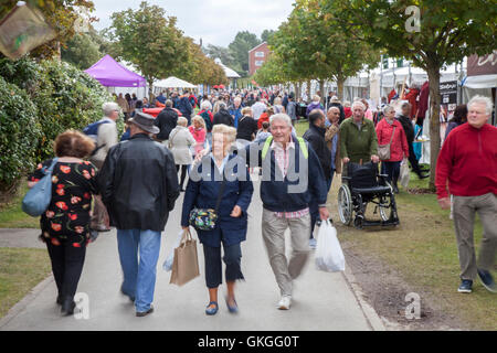 Southport Flower Show, Merseyside, Regno Unito. 21 AGO 2016: Come il bel tempo torna su il Southport Flower Show, la folla gregge in per l'odierna grande vendere. I fantastici quattro giorni di evento orticola si chiude oggi nel tardo pomeriggio con occasioni a bizzeffe in palio. Da prodotti di artigianato e abbigliamento per il la maggior parte delle piante esotiche, c'è davvero qualcosa per tutti. I bambini sono intrattenuti da 'Sonny & Arcobaleno" come i genitori possono sorseggiare il prosecco al sole. Credito: MediaWorld Immagini/Alamy Live News Foto Stock