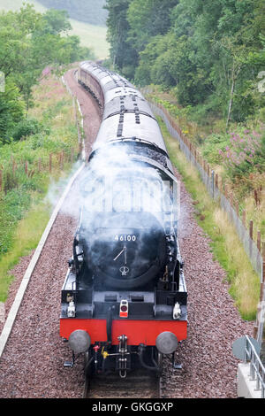 Galashiels, frontiere ferroviarie, Whin Bridge, Regno Unito. 21 Ago, 2016. Treno a vapore sui confini di ferrovie. Un vapore in esecuzione speciale sui confini Railway la domenica durante il mese di agosto e settembre, qui illustrato sul suo viaggio di ritorno da Tweedbank di Edinburgh Waverley raffigurata qui è la classe 67 Diesel locomotiva elettrica 67009, in inglese e gallese ferrovia scozzese livrea tirando i carrelli e motore a vapore 46100 'Royal Scot" torna a Edinburgh Waverley. (Foto: Rob grigio) Credito: Rob grigio/Alamy Live News Foto Stock