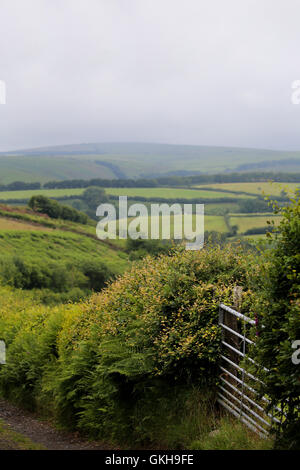 Ingresso sincronizzato per la campagna aperta nel Devon, Inghilterra,Gran Bretagna. Foto Stock