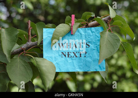 La frase che cosa poi appeso a un albero. Close up. Concetto di immagine. Foto Stock