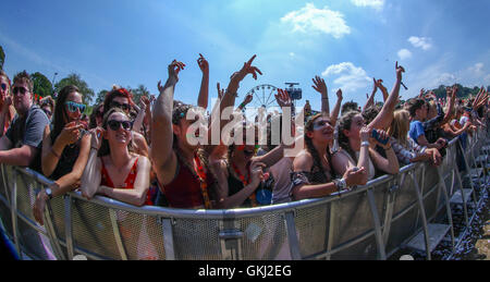 Radio 1 Big Weekend al Castello di Powderham in Exeter Devon dotate: atmosfera dove: Exeter, Regno Unito quando: 29 Maggio 2016 Foto Stock