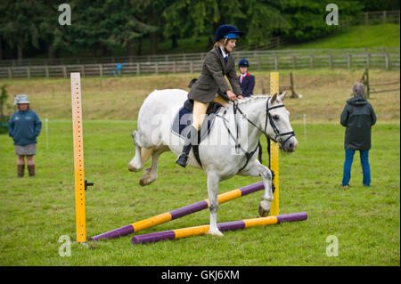 Giovane ragazza e il suo pony jumping recinzioni a Golden Valley Pony club, Baskerville Hall, Clyro, Powys, Wales, Regno Unito Foto Stock