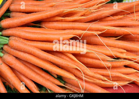 I grappoli di arancio brillante carotine, il mercato degli agricoltori in Germania. Foto Stock