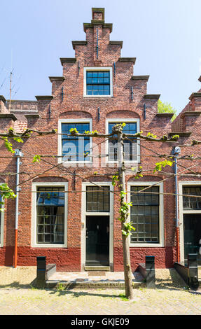 Vecchia casa con frontone a gradini in Groot Heiligland Street nella città vecchia di Haarlem, Olanda, Paesi Bassi Foto Stock