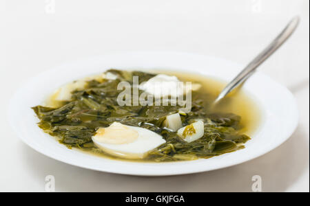 Piastra con cucchiaio e zuppa vegetariana dal fresco verde delle foglie di spinaci, sorrel, bietole con la metà di uovo e panna acida Foto Stock