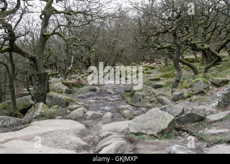 Momenti catturati nel Parco Nazionale di Peak District. Foto Stock