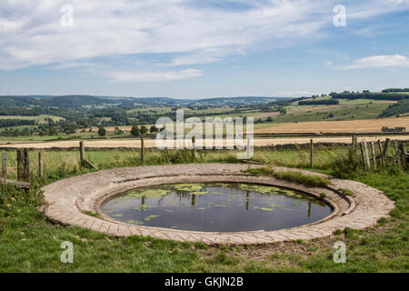 Momenti catturati nel Parco Nazionale di Peak District. Foto Stock