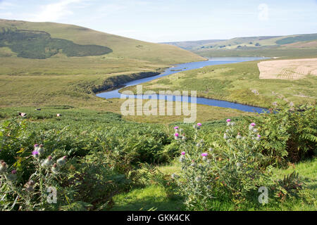 Afon Elan fiume che scorre attraverso le montagne Cambriano Powys Galles Centrale Foto Stock