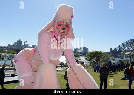 Sydney, Australia. 21 Ago, 2016. Artisti di strada eseguita durante celebrationa per contrassegnare il primo compleanno del Sydney Harbour spettacolare parco operazioni automatiche di fine campo, molo di Barangaroo riserva e si è tenuto il 21 agosto 2016 a Sydney. L anniversario è coinciso con il giorno finale della grande esposizione di scultura "culpture a Barangaroo'. Credito: Hugh Peterswald/Pacific Press/Alamy Live News Foto Stock