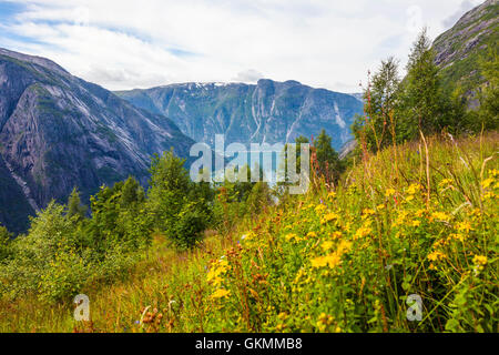 Bello e colorato paesaggio nella Hardanger Foto Stock