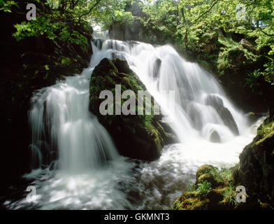 Bach Ceunant cascata sul Afon Arddu fiume. Un piccolo fiume di montagna sul bordo di Snowdonia, in ondata dopo forti piogge, Gwynedd, Wales, Regno Unito Foto Stock