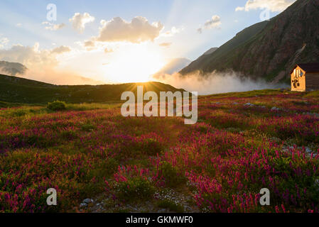 Rifugio di montagna sul campo di fioritura in raggi di sole al tramonto Foto Stock