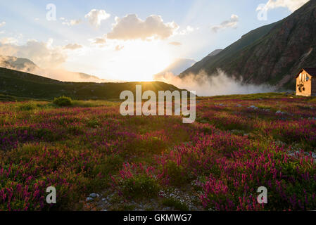 Rifugio di montagna sul campo di fioritura in raggi di sole al tramonto Foto Stock