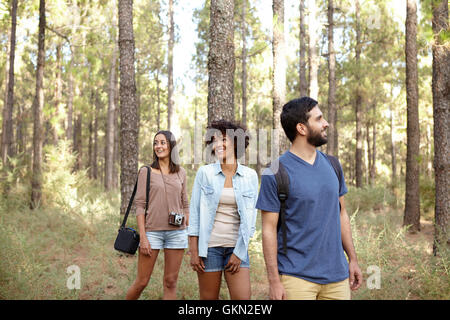 Tre amici passeggiare allegramente attraverso un albero di pino plantation nel tardo pomeriggio di sole indossando un abbigliamento casual Foto Stock