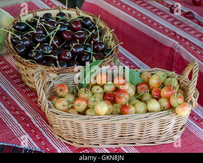 Festa della ciliegia di frutta in Kyustendil, presentment fuori la loro produzione di frutta cruda, Bulgaria Foto Stock